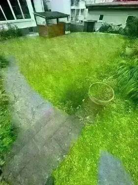 original (20).webp - 
