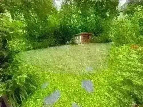 original (17).webp - 