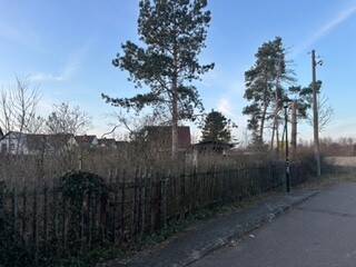 Bild 3 - Grundstück in Petersberg