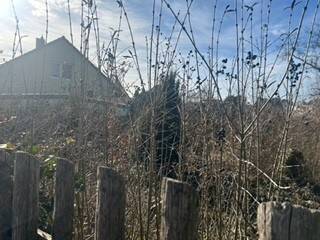 Bild 4 - Grundstück in Petersberg zum Kaufen