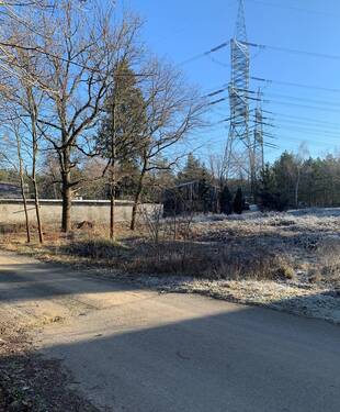 Bild 3 - Grundstück in Schmogrow-Fehrow