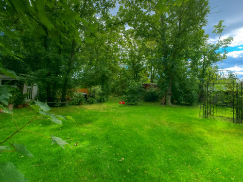 Weitläufiger Garten mit altem Baumbestand - 