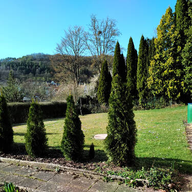 IMG_20250404_1648043.jpg - 8 Zimmer Mehrfamilienhaus, Wohnhaus in Ködnitz