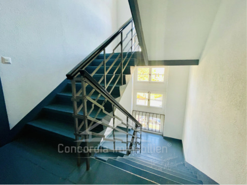 breites Treppenhaus - Mehrfamilienhaus, Wohnhaus in Dresden zum Kaufen