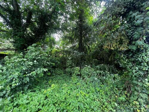 Grundstück - Grundstück in Berlin / Heinersdorf