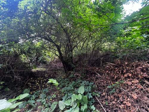 Grundstück - Grundstück in Berlin / Heinersdorf zum Kaufen