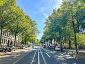 Das Waldstraßenviertel - 