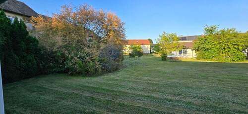 Direktes Umfeld im Sommer - 