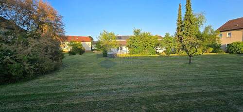 Direktes Umfeld im Sommer - 