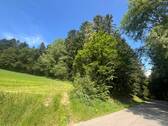 f039756f-922a-4fe5-a359-ba60af02f713.JPG - 