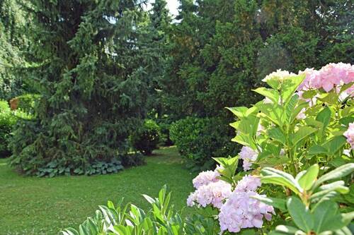 Garten - 