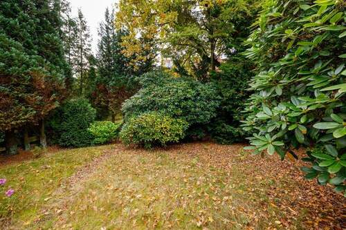 20251020Hansen-Hansen-0012 - 