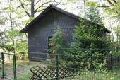 Frontansicht - Waldhaus in Alleinlage - 82.000,00&nbsp;EUR Kaufpreis, ca.&nbsp; 40,00&nbsp;m&sup2;&nbsp;Wohnfl&auml;che