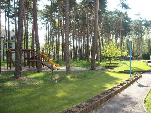 Waldansicht - 