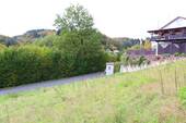 Bild V.JPG - 
