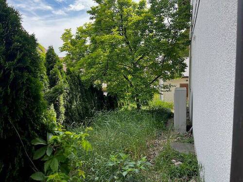 Bild 12 - 