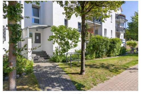 Bild 11 - 