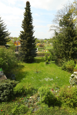 Hinterhof - 
