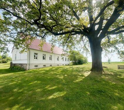 Blick auf das Haupthaus - Landlust - authentischer, 200 Jahre alter Dreiseitenhof in der Nähe zu Berlin