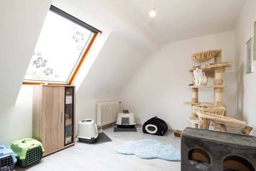 Schlafzimmer 1 - 