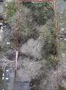 Garten von oben - 