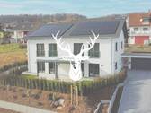 Bild 1 - Hochwertige und moderne Doppelhaushälfte B mit nachhaltiger Gebäudetechnik in Tiengen zu verkaufen