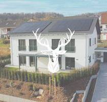Hochwertige und moderne Doppelhaushälfte B mit nachhaltiger Gebäudetechnik in Tiengen zu verkaufen - Waldshut-Tiengen
