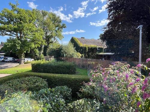 Blick auf den Ponyhof - 