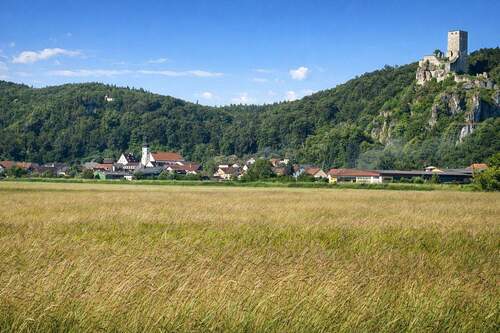 Wellheim mit Burg - 