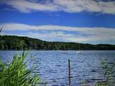 Wolgastsee - 