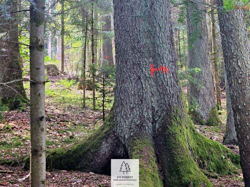 20250610_131416.jpg - 