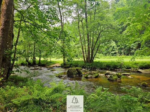 20250610_134637.jpg - 