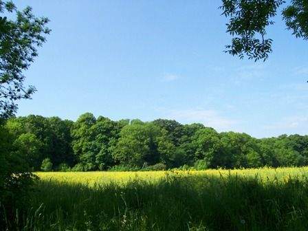 Erholung - Grundstück zum Kaufen in Ballenstedt