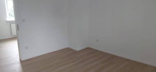 IMG-20250821-WA0004.jpg - 