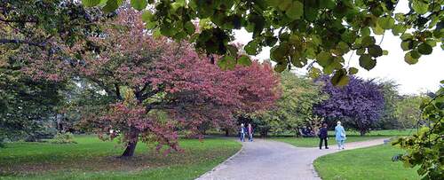 Volkspark Wilmersdorf - 1 PREIS für 2 ETW insgesamt 146 (159) qm mit besonderem Schnitt, in einer tollen Gegend