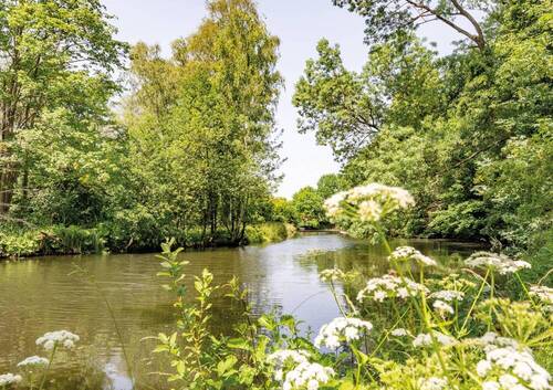 Luhelandschaft - 