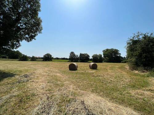 Blick nach Süden - Sehr großes Grundstück mit viel Potential in Hassendorf - Gemeinde Bosau