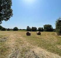 Sehr großes Grundstück mit viel Potential in Hassendorf - Gemeinde Bosau