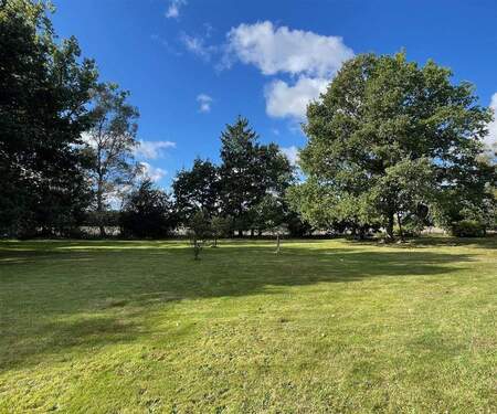 Blick auf das Grundstück bis zum Wald - 