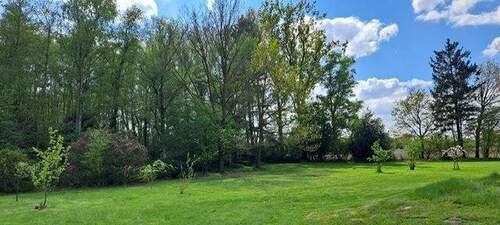 Grundstück / Wald - 