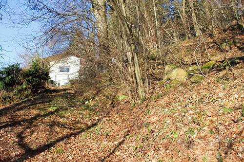 Bild III.JPG - 