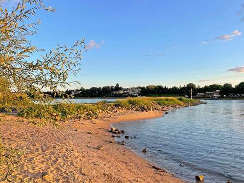 Am Rhein in Niederdollendorf - 