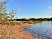 Am Rhein in Niederdollendorf - 