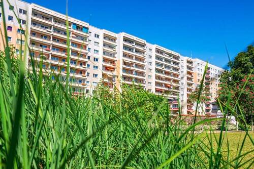 Ansicht 1 - 1 Zimmer Etagenwohnung zur Miete in Zwickau