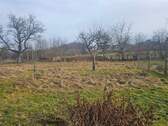 Obstwiese - Parklage - 