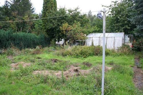 Garten mit Gewächshaus - 