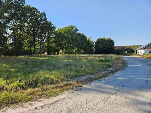 Hoyerhagen_2.jpg - Bungalow mit 130,30 m² in Hoyerhagen zum Kaufen