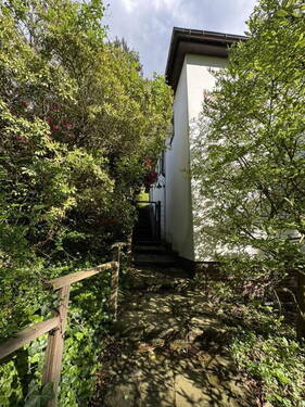 Treppe von der Straße - 8 Zimmer Einfamilienhaus zum Kaufen in Essen