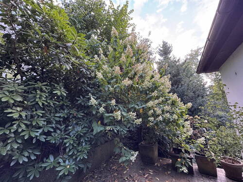 Terrasse am Wohnzimmer - 