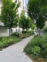 Bild 14 - 